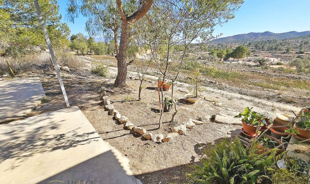 Herverkoop - Equestrian property - Monóvar - Monovar