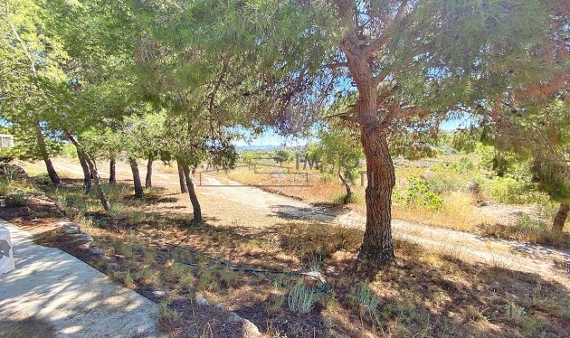 Herverkoop - Equestrian property - Monóvar - Monovar
