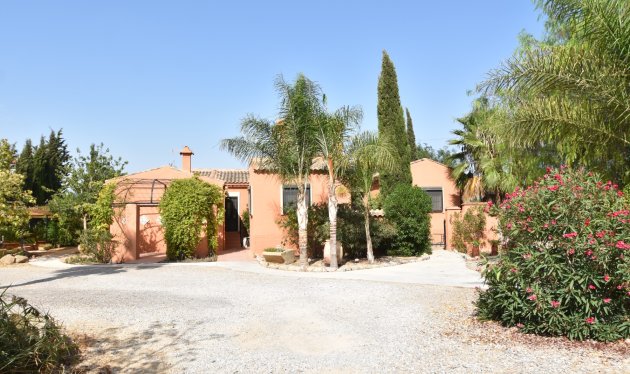 Reventa - Country House - Catral